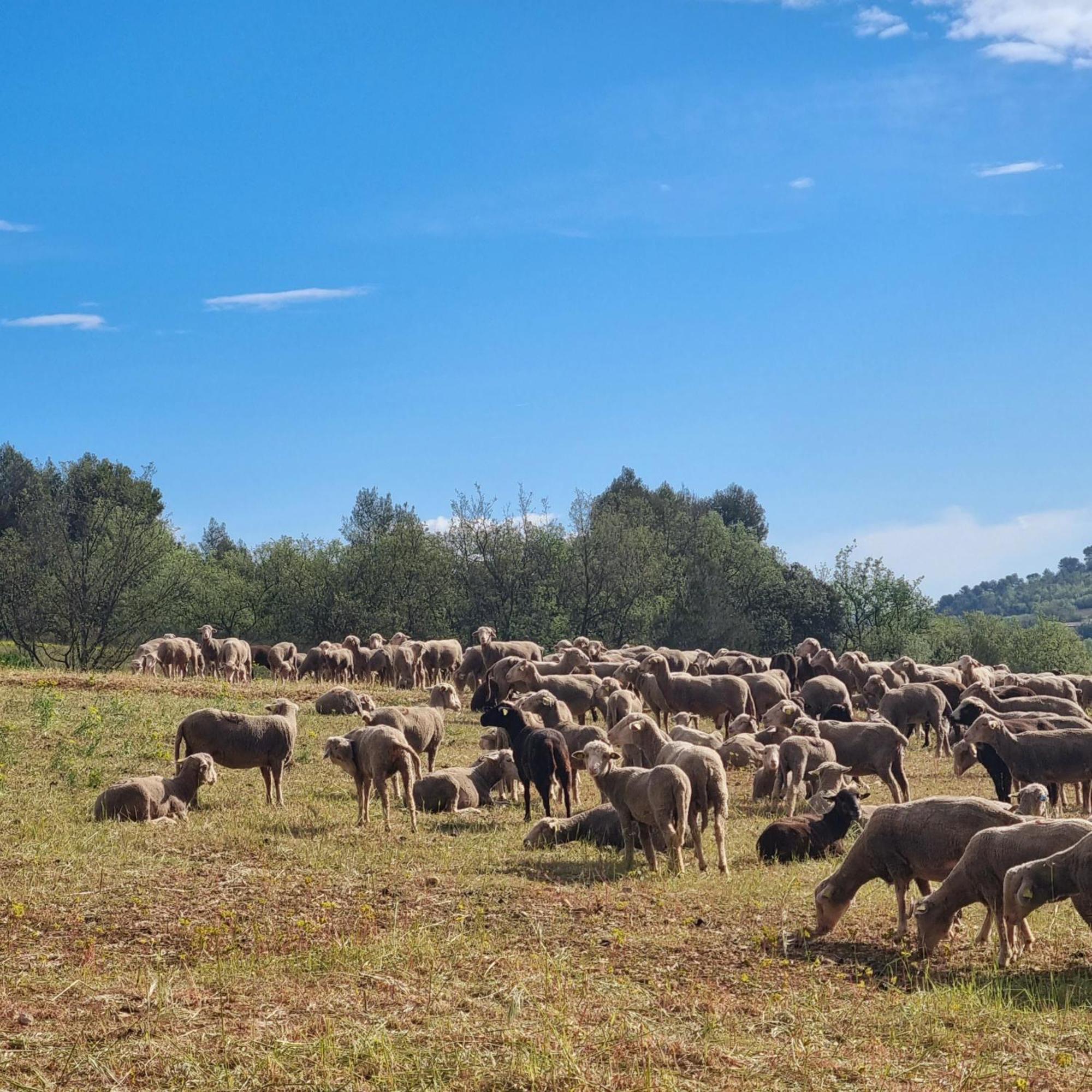 L'Oustaou Du Luberon Et Spa Villelaure المظهر الخارجي الصورة