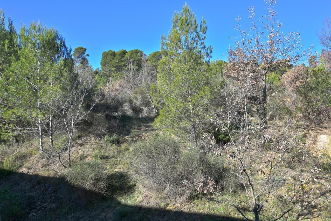 L'Oustaou Du Luberon Et Spa Villelaure المظهر الخارجي الصورة