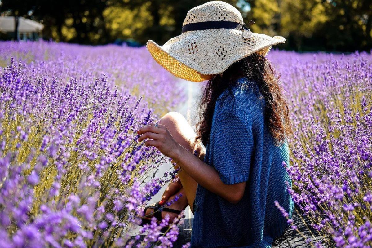 L'Oustaou Du Luberon Et Spa Villelaure المظهر الخارجي الصورة