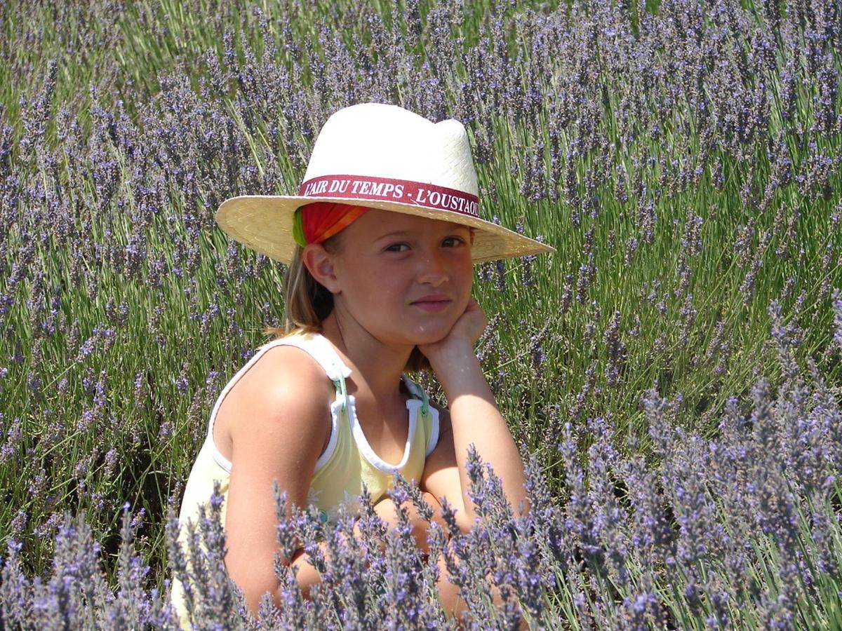 L'Oustaou Du Luberon Et Spa Villelaure المظهر الخارجي الصورة