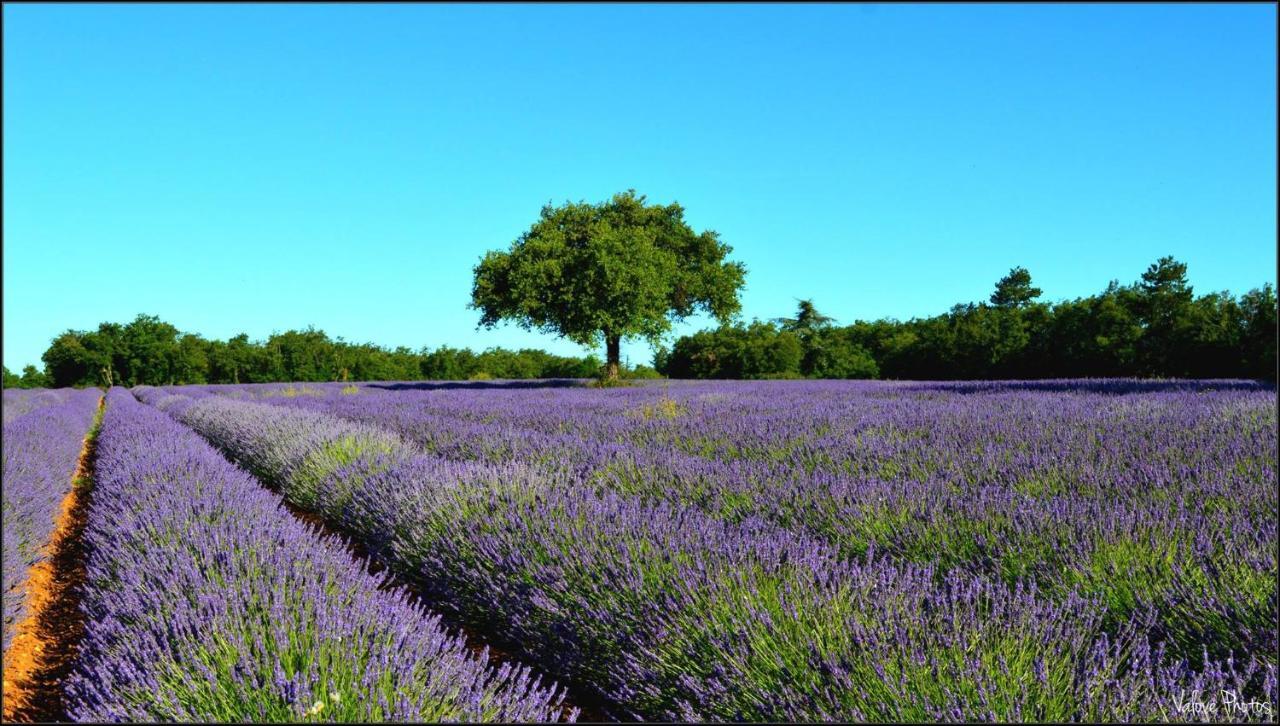 L'Oustaou Du Luberon Et Spa Villelaure المظهر الخارجي الصورة